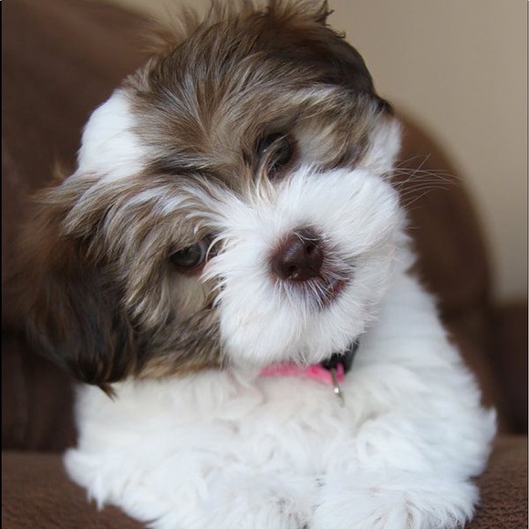 ๐I Wish You Happiness & Prosperity For 2020 ๐๐ - Picture 4 of 6